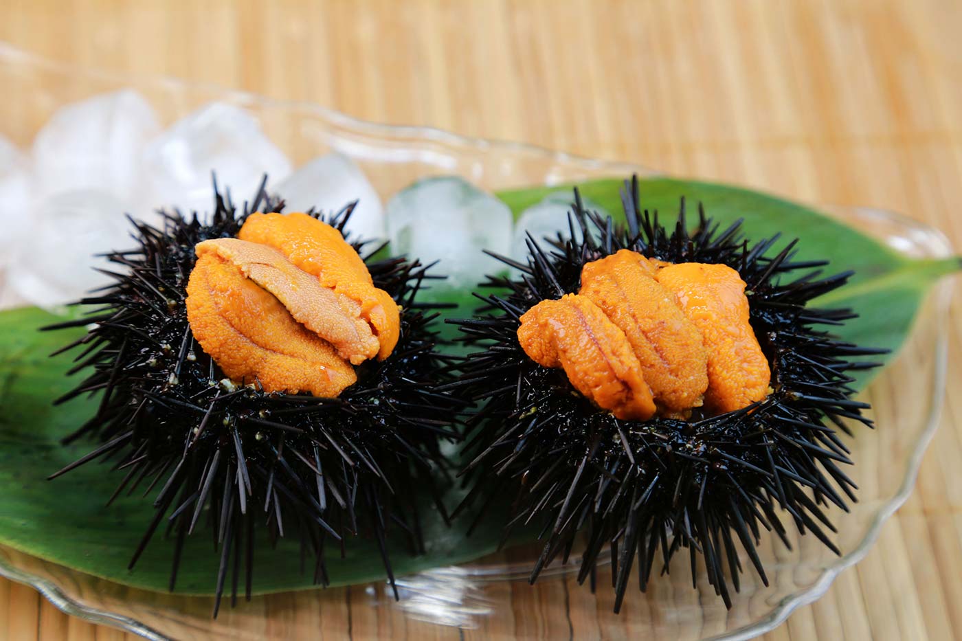 Sushi Spotlight Sea Urchin (Uni) Osaka Japanese Bistro